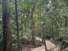 -七仙岭温泉国家森林公园