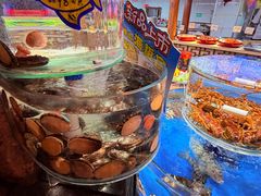 -乔家小院•非遗驴肉•本地小海鲜(滨河路店)