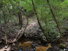 -昆明青龙峡风景区