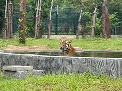 -秦皇岛野生动物园