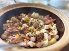 砂锅生焗东星斑-伯衡55·吉品轩(乌鲁木齐南路店)