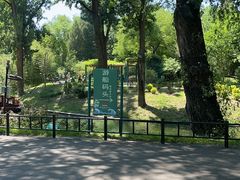 -皇家御河游(紫御湾码头)