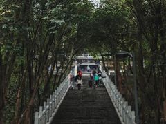 -成都老君山