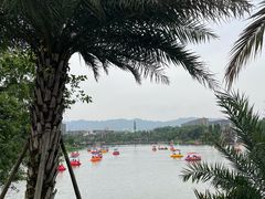 -枫香湖儿童公园