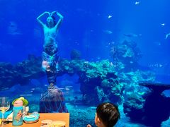 -涛·海底餐厅·美人鱼·自助餐·海底隧道(三亚海棠湾洲际度假酒店)