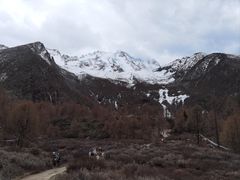 -亚拉雪山风景区