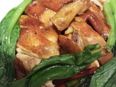 -百事佳烧鸭牛腩(上海虹桥站店)