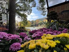 -惠山古镇·寄畅园