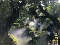 景观位-Chom Cafe and Restaurant