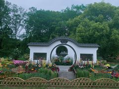 -上海共青森林公园