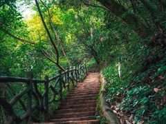 -光雾山旅游景区