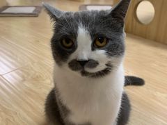 -猫和宫(六道口店)