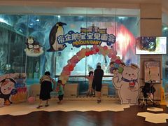-帝企鹅自助餐厅•儿童岛•真企鹅(长隆企鹅酒店)