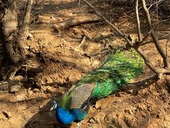 -西安华清御汤酒店