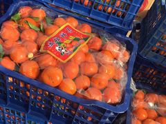 -新发地高碑店农副产品物流园