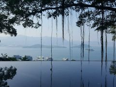 -大埔公路-马料水段香港中文大学(公交站)