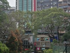 -九龙公园