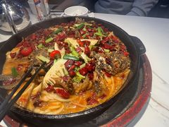 -老板恋上鱼(高新万达店)