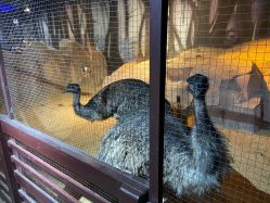 点击看大图 -酷嗒动物文化乐园(cutezoo西溪乐天城店)