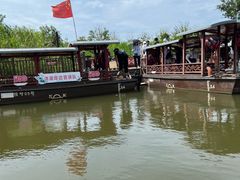 -洪湖湿地生态园