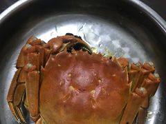 -七的湖·晚芳亭·阳澄湖农家菜·大闸蟹(莲花岛店)