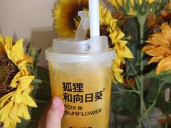 凤击冰橙-狐狸和向日葵(北京路店)