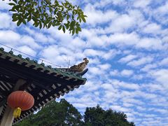 -光孝寺