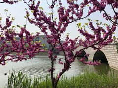 -江南大学(蠡湖校区)