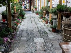 -隔壁老王·家常云南菜(花巷店)