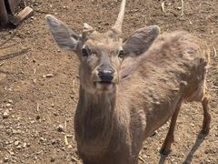 -北京山里寒舍度假酒店
