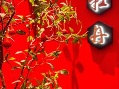 -禾府酒家·传统广府味(番禺店)