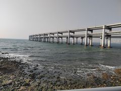 -星海湾跨海大桥