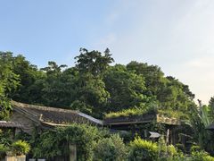 -清水湖度假村(罗浮山美食地标店)