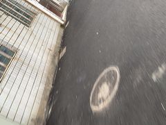-宝山区动物疫病预防控制中心(永乐汇生活广场店)