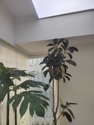 -HEYAN荷妍专业脱毛连锁机构