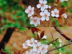 -东北大学(南湖校区)