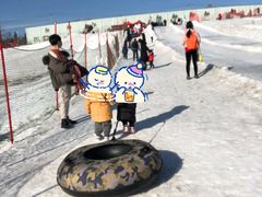 -华彬猛犸滑雪场