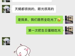 -咖咖熊蛋糕定制·蓝风车动物奶油