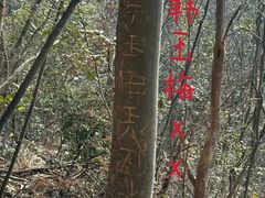 -紫金山天文台