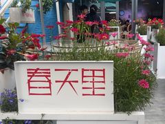 -春天里餐厅·云南创意菜特色美食(束河店)