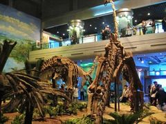 -自贡恐龙博物馆