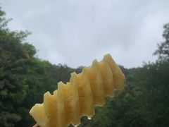 -梧桐山风景名胜区