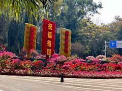 -攀枝花公园