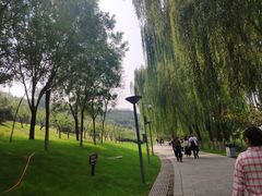 -河北省园博园