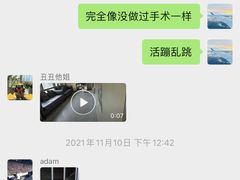 -谐和益家动物医院·免疫绝育·血液透析·宠保定点医院(高新伊藤分院)