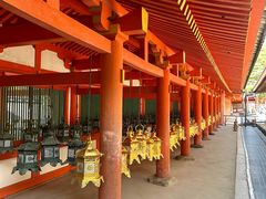 -奈良公园