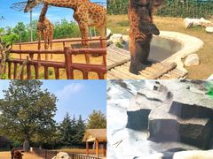 -济南野生动物世界