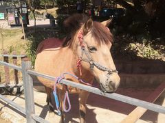 -泉州海丝野生动物世界