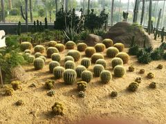 -兰陵国家农业公园