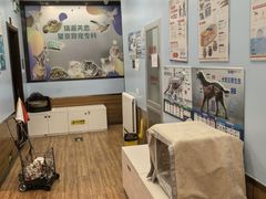 -瑞派·关忠动物医院·异宠专科·犬猫肿瘤·皮肤专科(望京店)